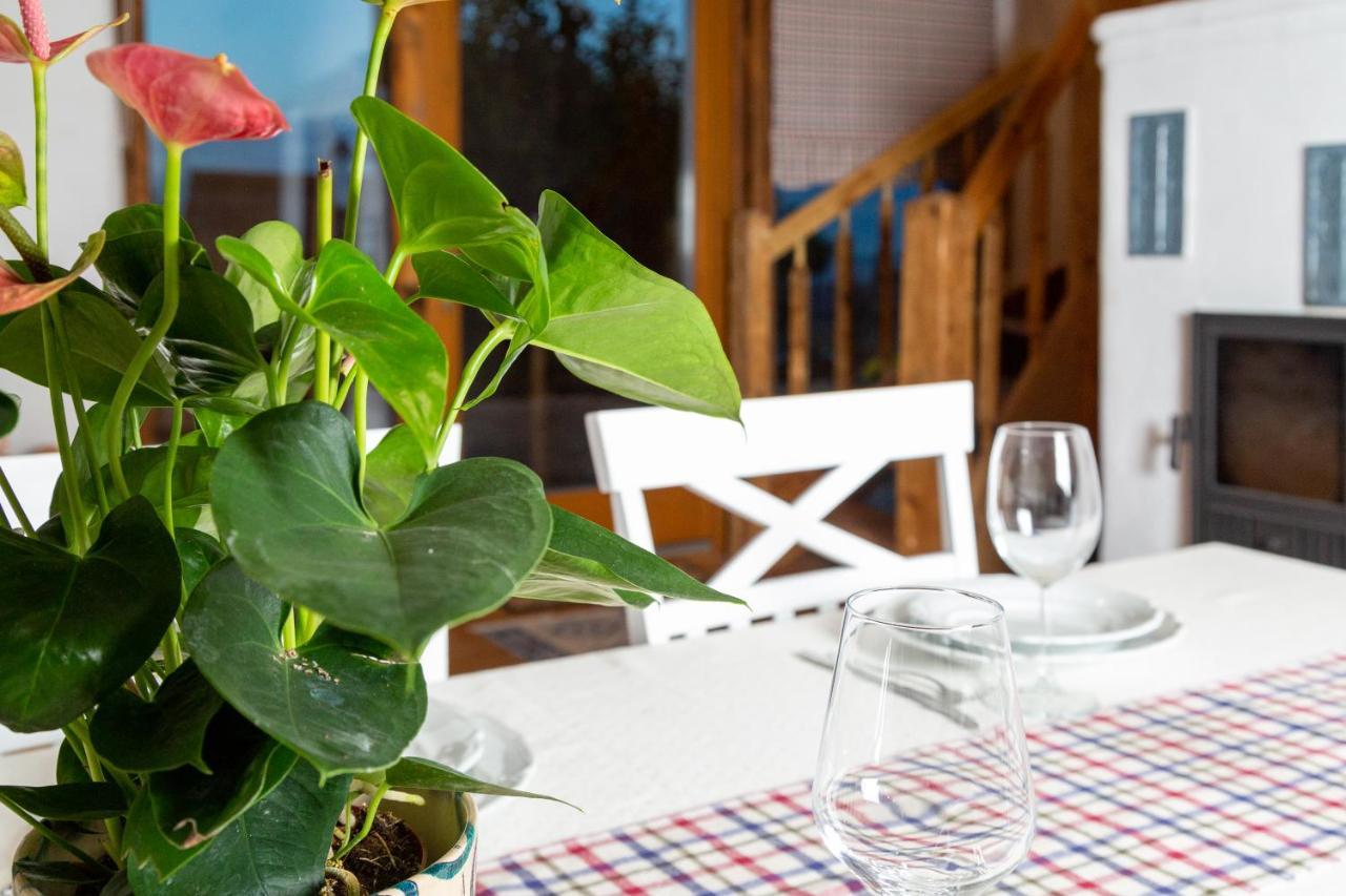 Casele Cu Stuf B&B Haus Ulrike Salicea Bagian luar foto