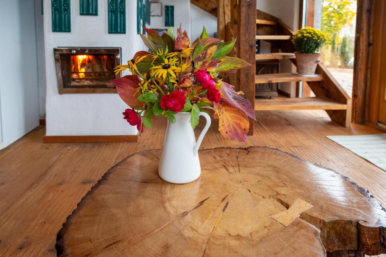 Casele Cu Stuf B&B Haus Ulrike Salicea Bagian luar foto