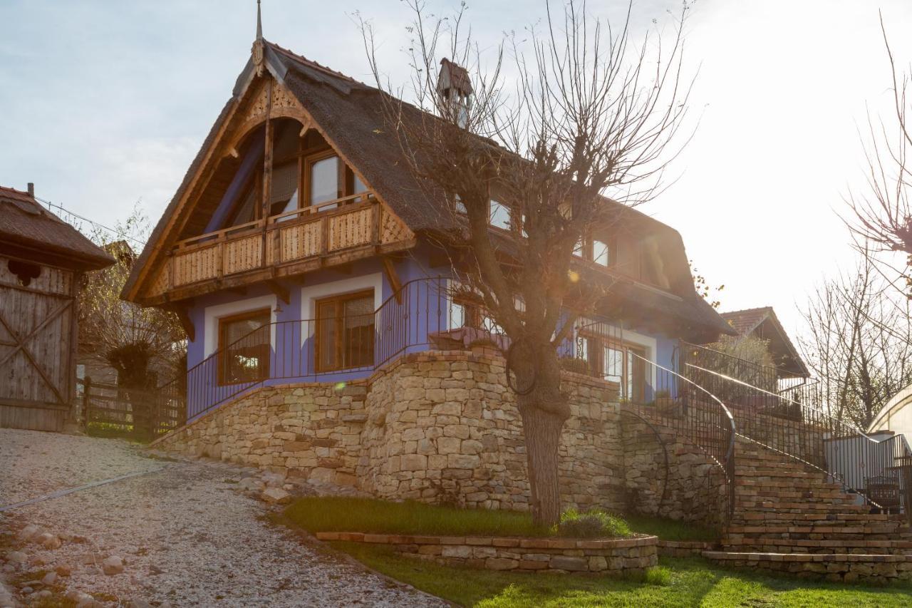 Casele Cu Stuf B&B Haus Ulrike Salicea Bagian luar foto