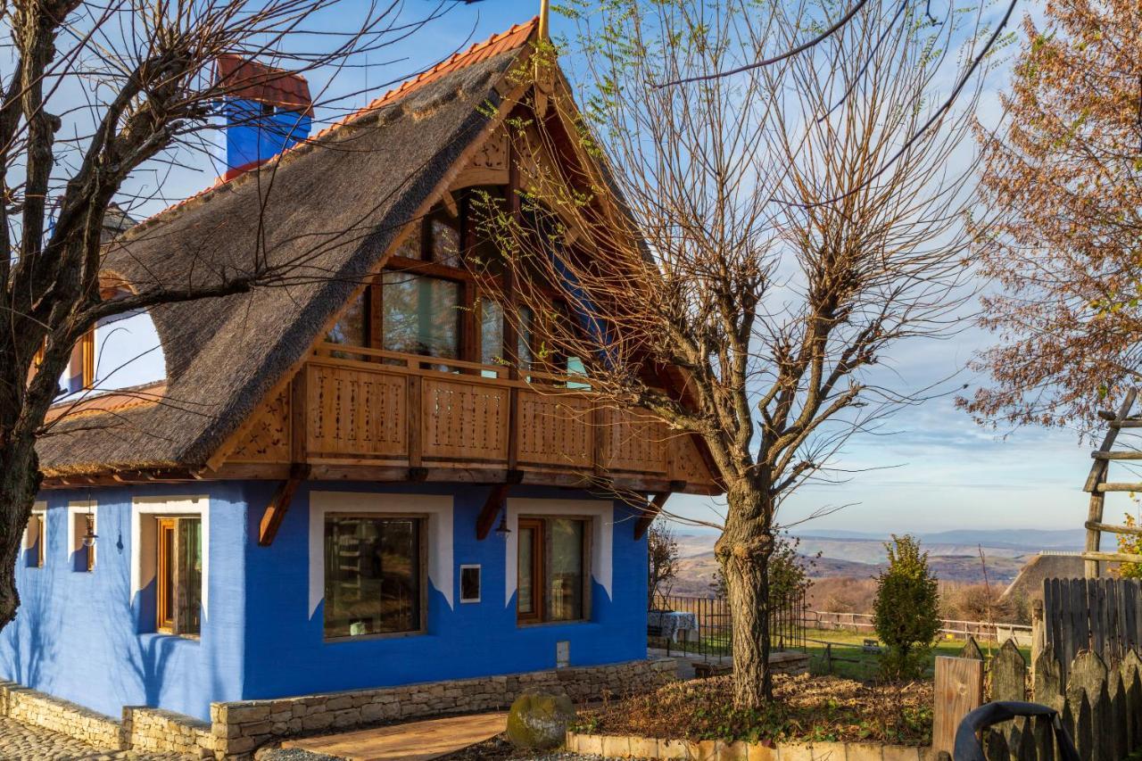 Casele Cu Stuf B&B Haus Ulrike Salicea Bagian luar foto
