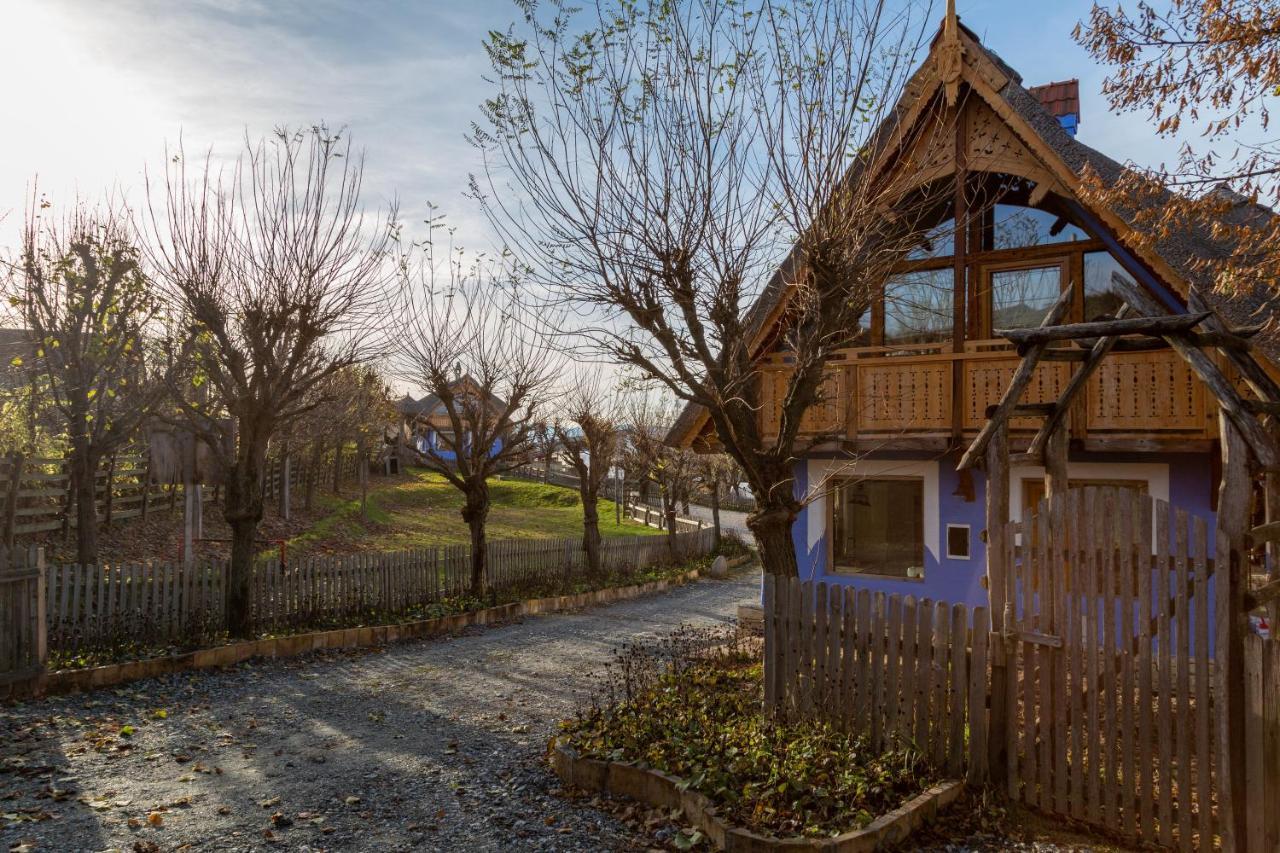 Casele Cu Stuf B&B Haus Ulrike Salicea Bagian luar foto
