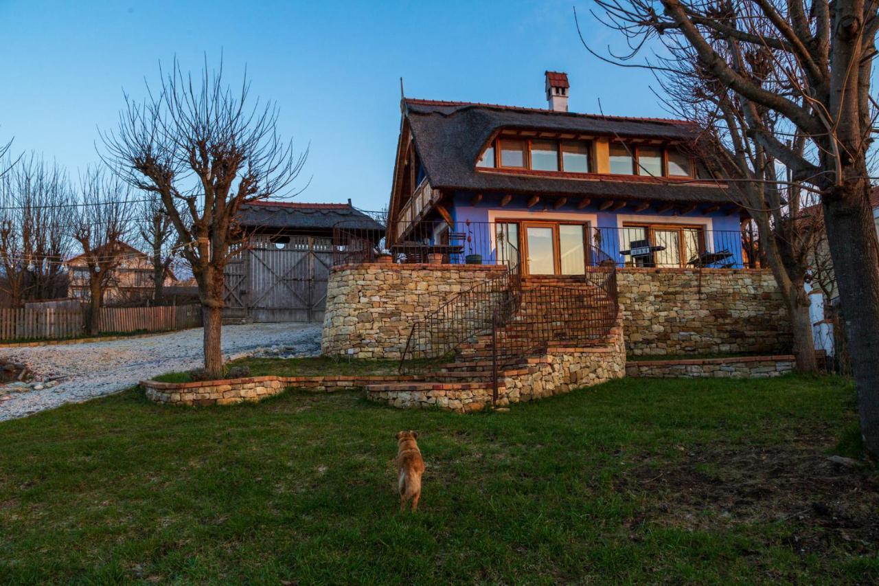 Casele Cu Stuf B&B Haus Ulrike Salicea Bagian luar foto