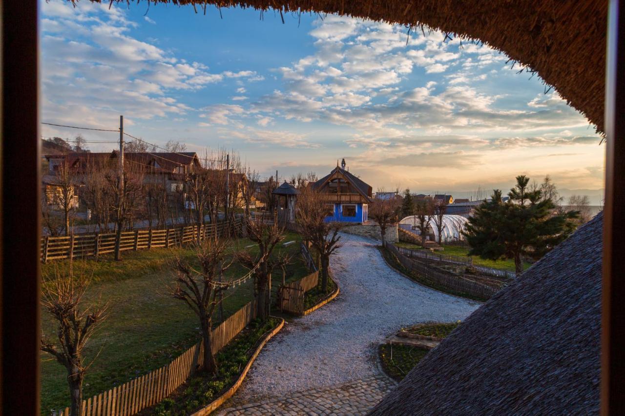 Casele Cu Stuf B&B Haus Ulrike Salicea Bagian luar foto