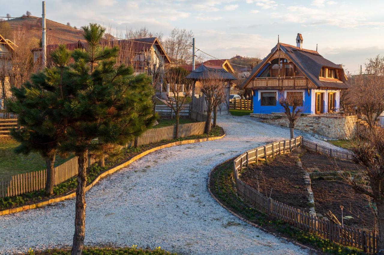 Casele Cu Stuf B&B Haus Ulrike Salicea Bagian luar foto