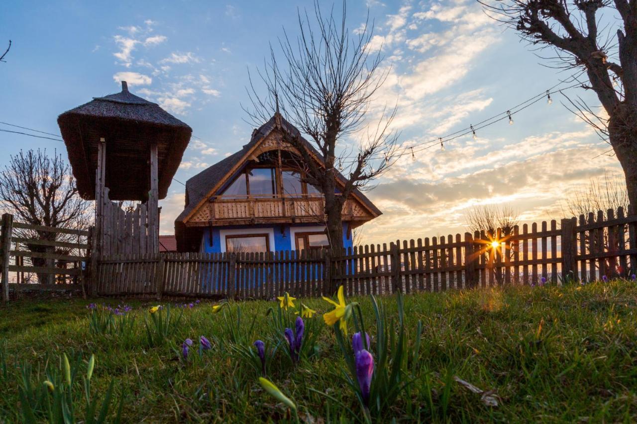 Casele Cu Stuf B&B Haus Ulrike Salicea Bagian luar foto