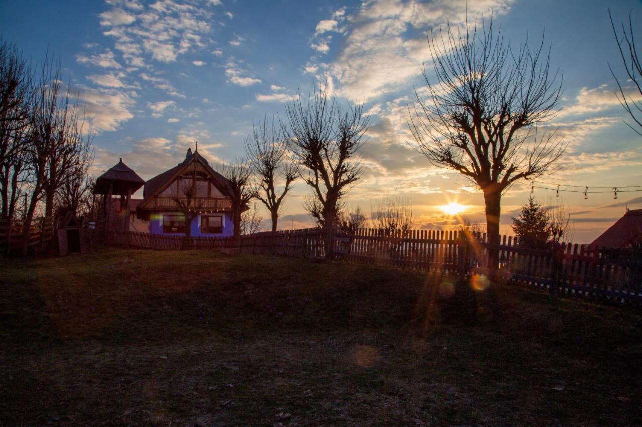 Casele Cu Stuf B&B Haus Ulrike Salicea Bagian luar foto