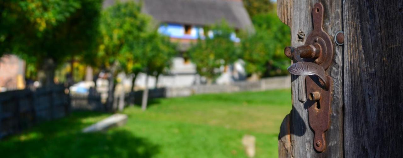 Casele Cu Stuf B&B Haus Ulrike Salicea Bagian luar foto