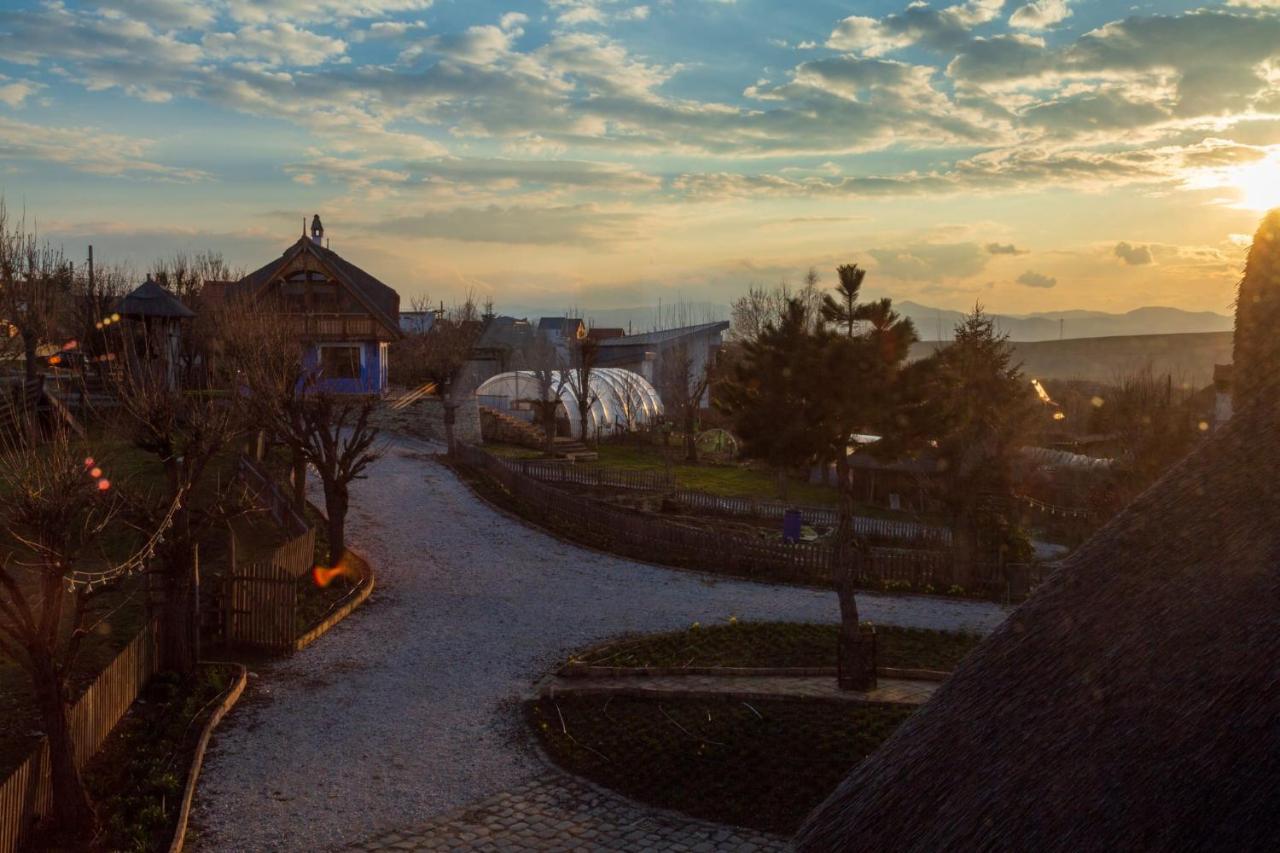 Casele Cu Stuf B&B Haus Ulrike Salicea Bagian luar foto