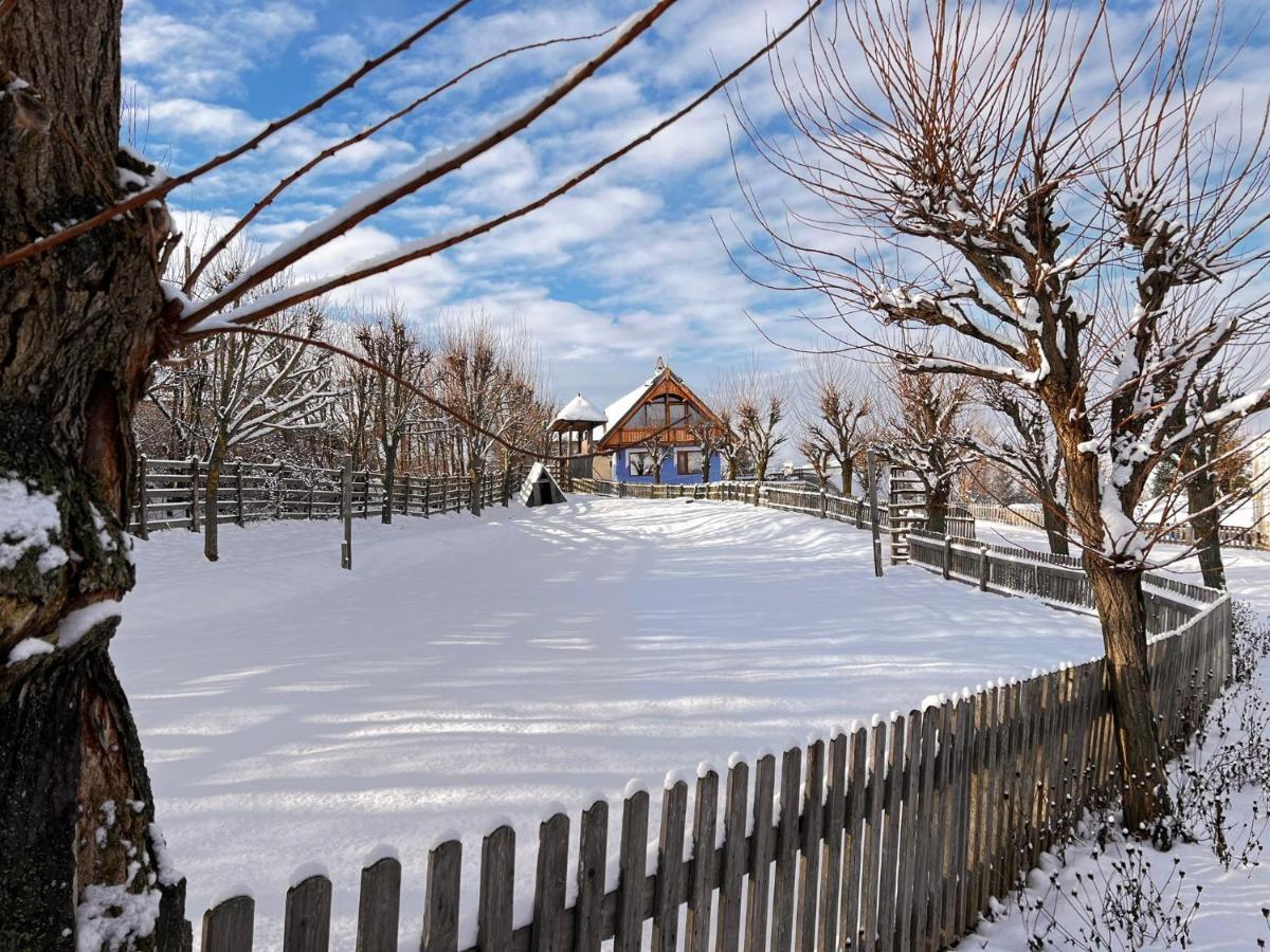 Casele Cu Stuf B&B Haus Ulrike Salicea Bagian luar foto