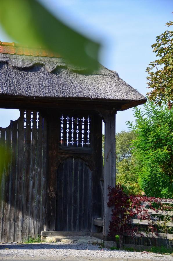 Casele Cu Stuf B&B Haus Ulrike Salicea Bagian luar foto