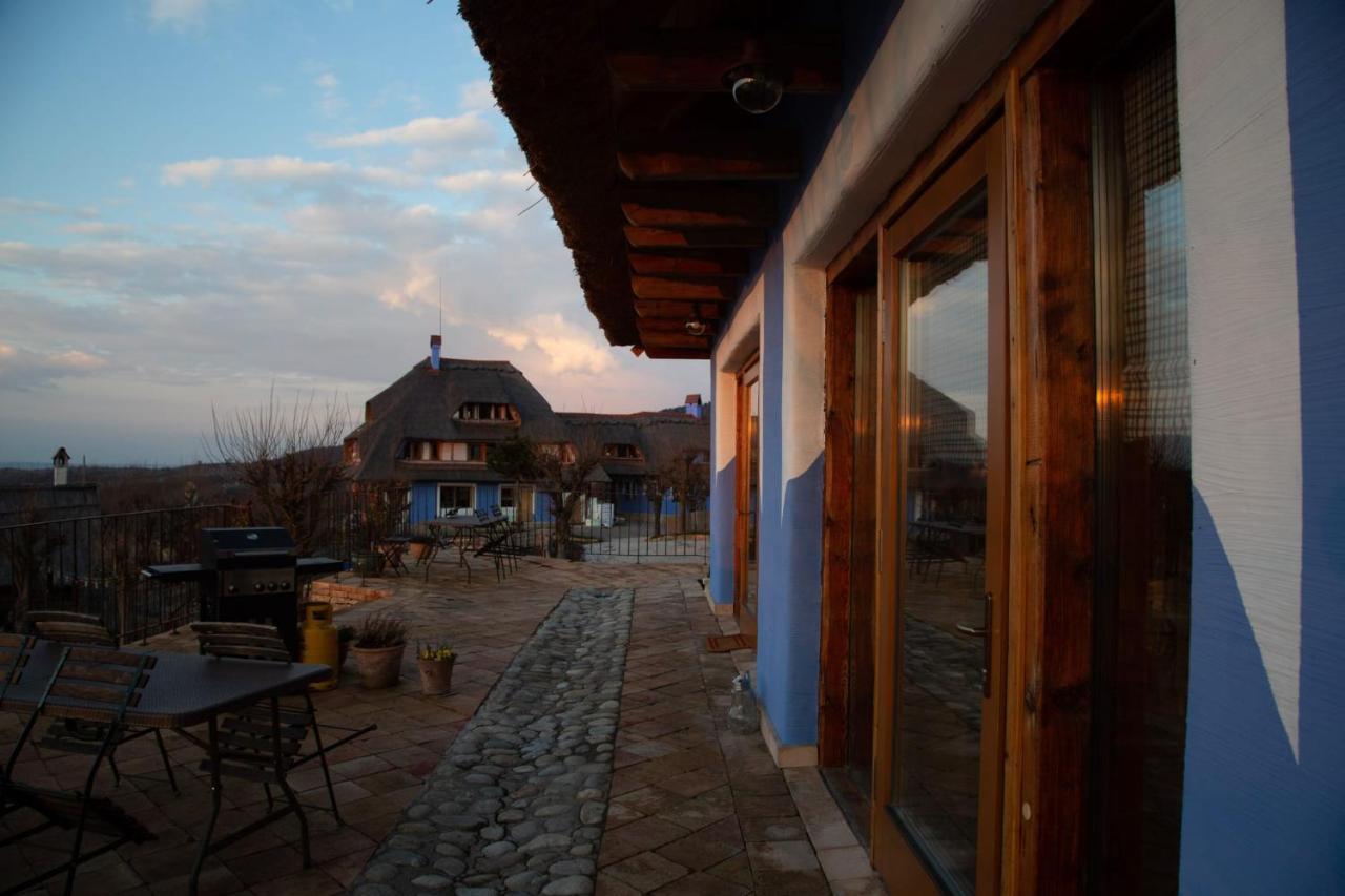 Casele Cu Stuf B&B Haus Ulrike Salicea Bagian luar foto