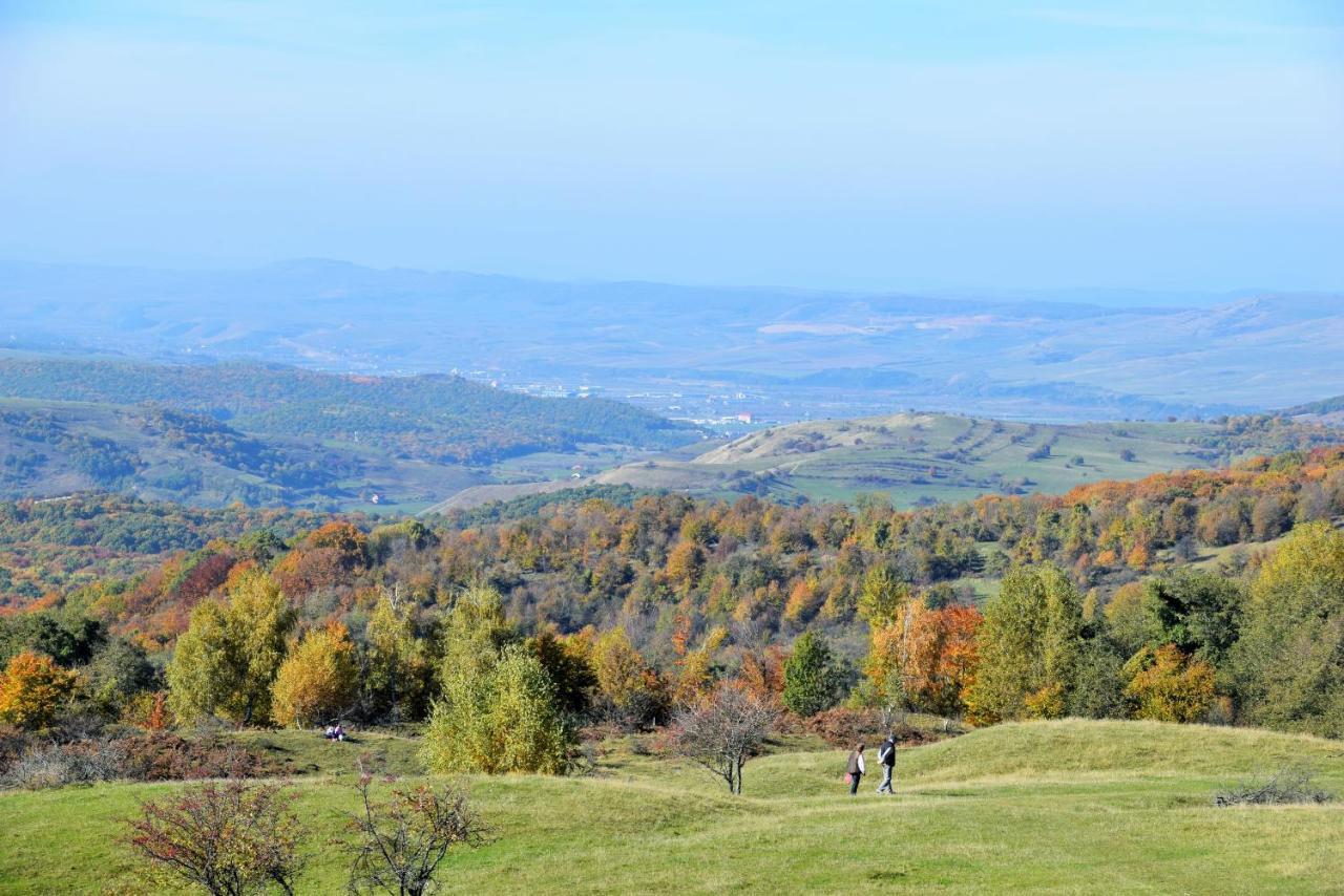 Casele Cu Stuf B&B Haus Ulrike Salicea Bagian luar foto