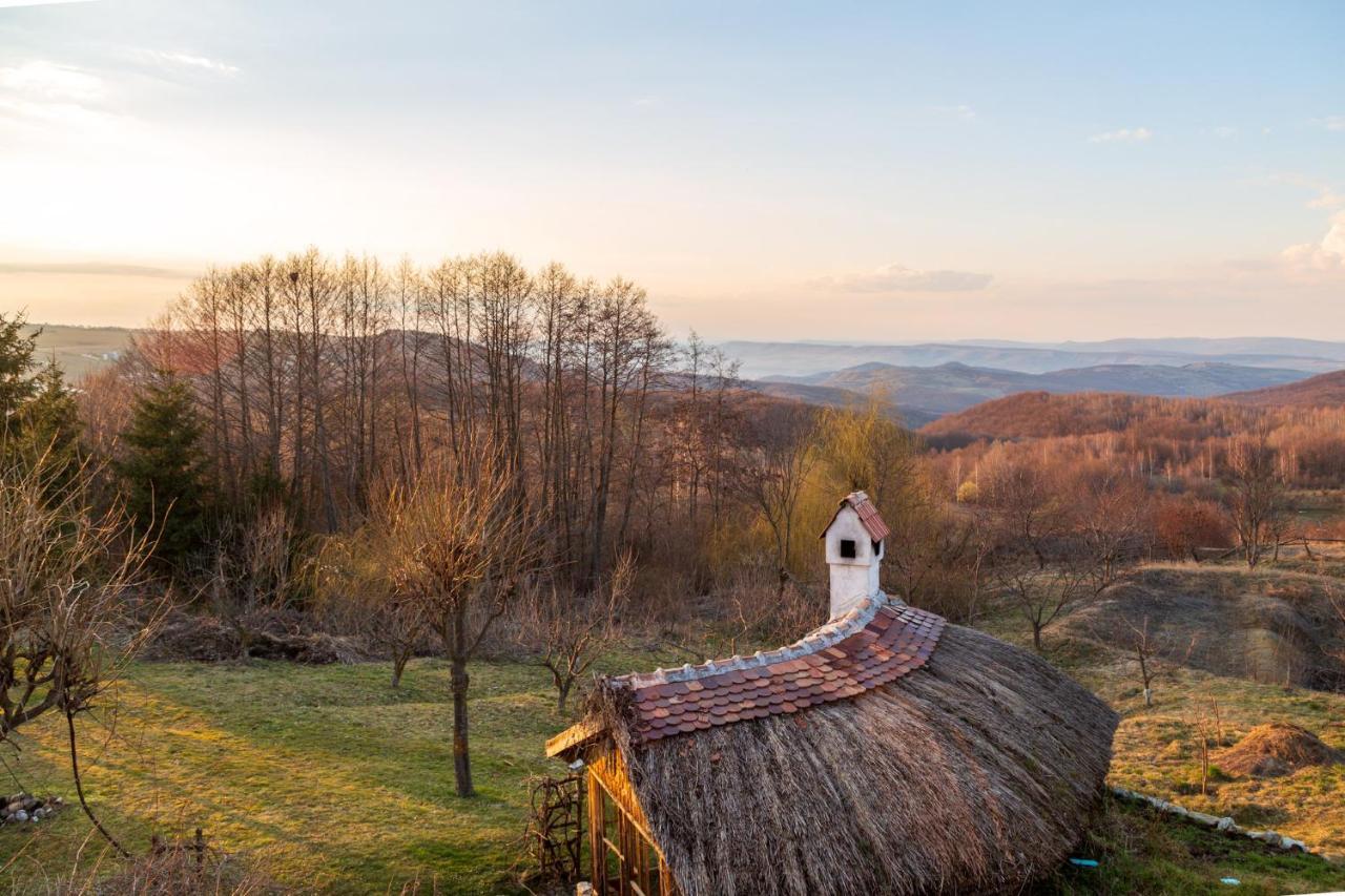 Casele Cu Stuf B&B Haus Ulrike Salicea Bagian luar foto