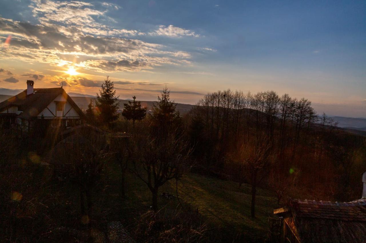 Casele Cu Stuf B&B Haus Ulrike Salicea Bagian luar foto