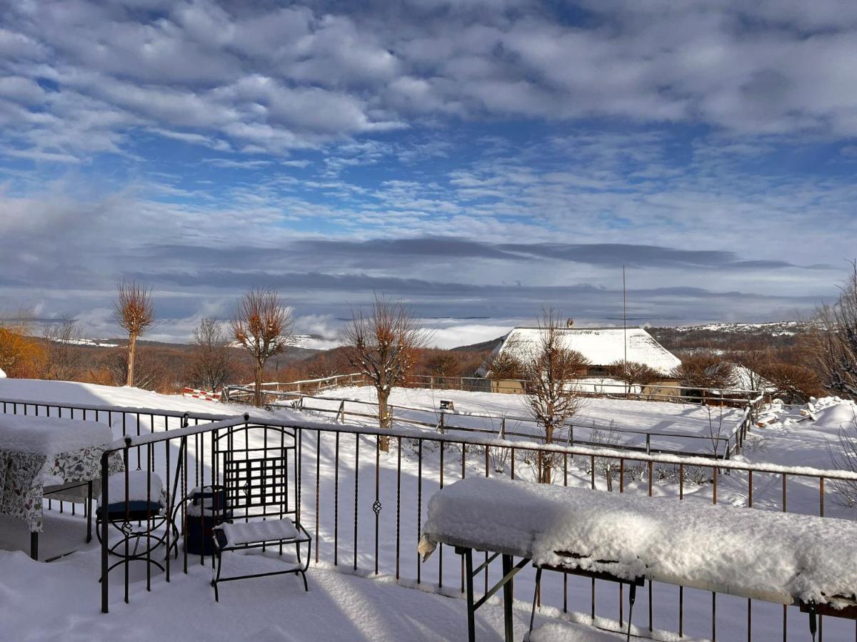 Casele Cu Stuf B&B Haus Ulrike Salicea Bagian luar foto
