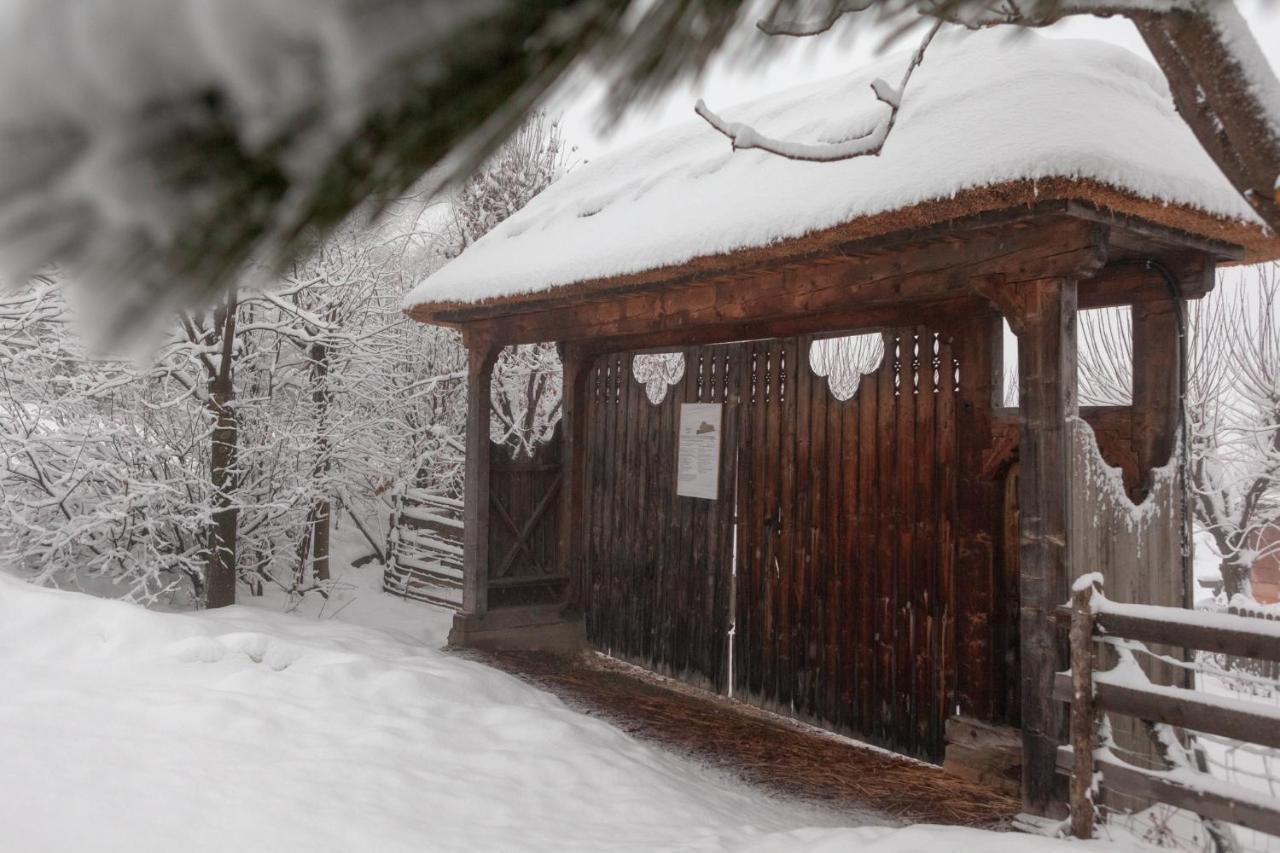 Casele Cu Stuf B&B Haus Ulrike Salicea Bagian luar foto