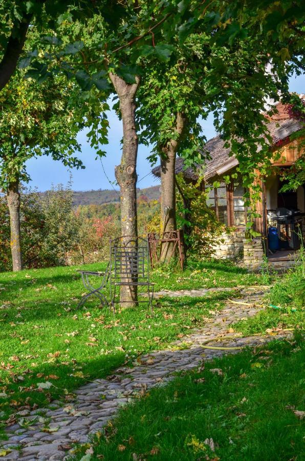 Casele Cu Stuf B&B Haus Ulrike Salicea Bagian luar foto