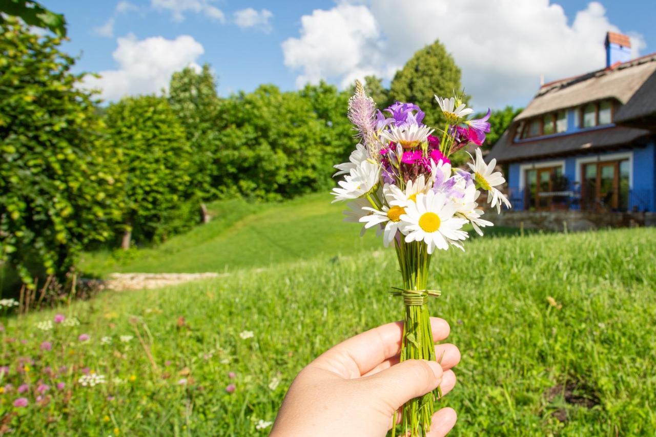 Casele Cu Stuf B&B Haus Ulrike Salicea Bagian luar foto