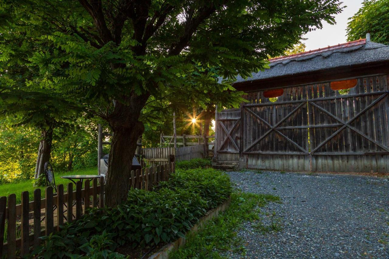 Casele Cu Stuf B&B Haus Ulrike Salicea Bagian luar foto