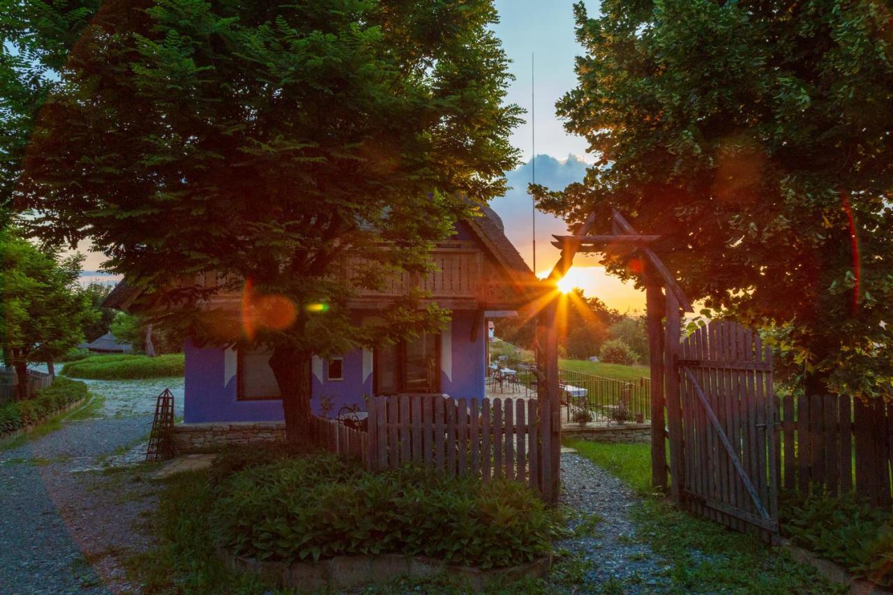 Casele Cu Stuf B&B Haus Ulrike Salicea Bagian luar foto