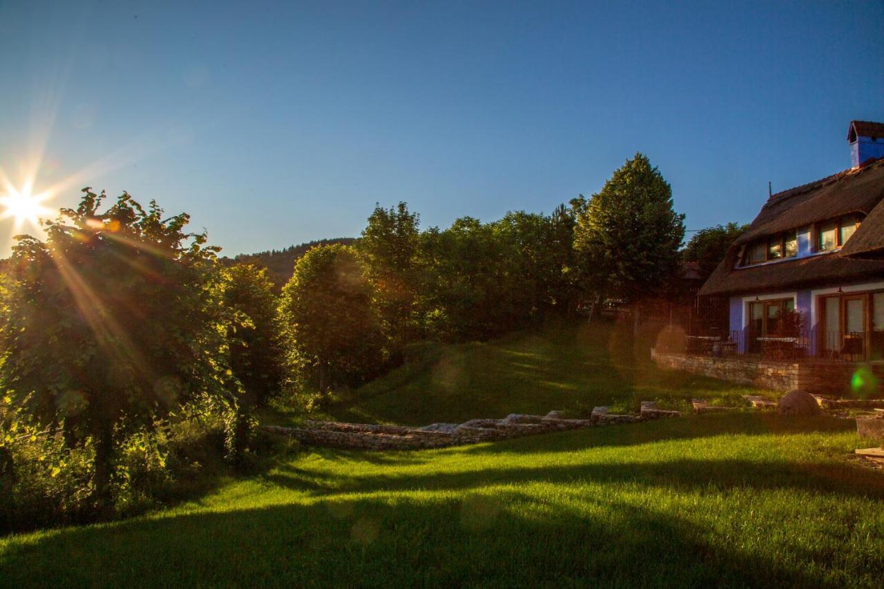 Casele Cu Stuf B&B Haus Ulrike Salicea Bagian luar foto